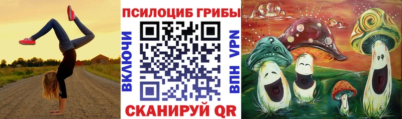 что такое   Шумерля  Галлюциногенные грибы мухоморы 